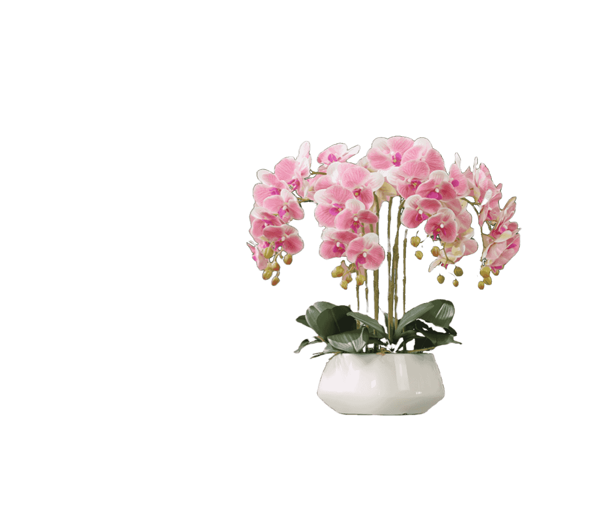 開(kāi)啟盆栽辦公時(shí)代