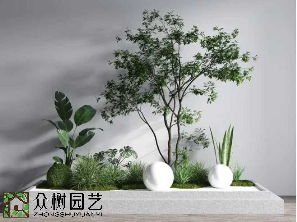 蘇州綠植租賃怎么選？一文帶你避坑