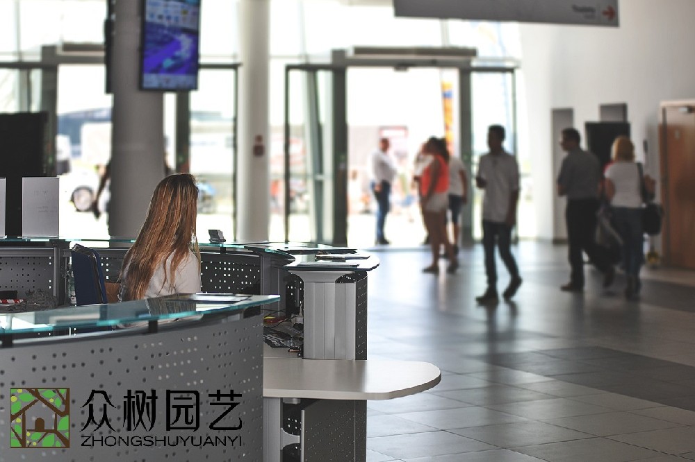 蘇州學(xué)校綠植租擺企業(yè): 貫穿環(huán)保、健康與美學(xué)的教育新理念