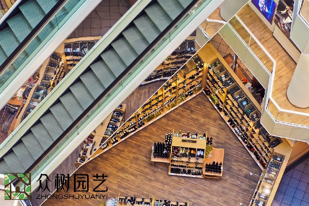 蘇州商場(chǎng)綠植租擺廠商：綠色美學(xué)的革命者，商場(chǎng)美學(xué)改變者