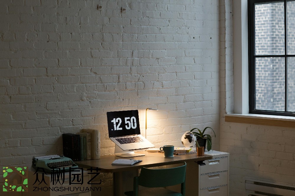 蘇州室內(nèi)綠植租擺費(fèi)用揭秘：預(yù)算、選擇和維護(hù)，一次性了解!